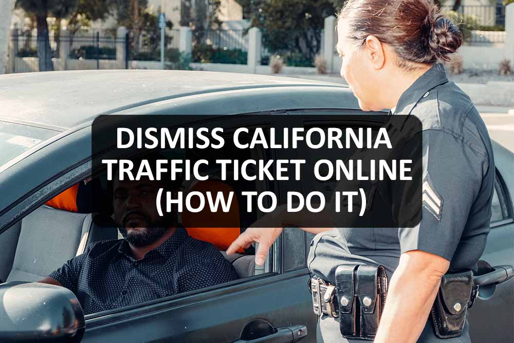 California Traffic Ticket 2024 Fanni Clotilda